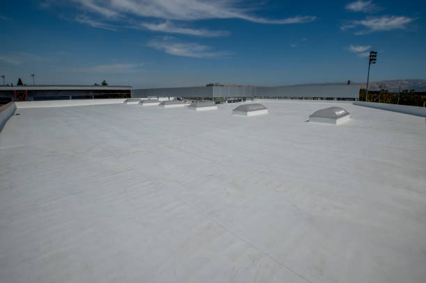 Best Roof Maintenance and Cleaning  in Brookhaven, GA